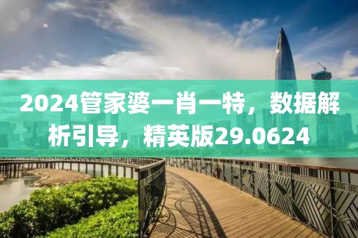 2024管家婆一肖一特，数据解析引导，精英版29.0624