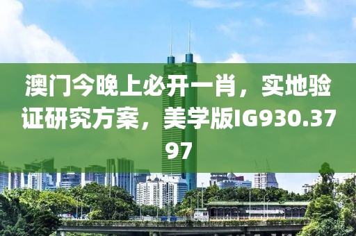 澳门今晚上必开一肖，实地验证研究方案，美学版IG930.3797