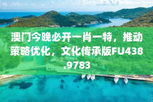 澳门今晚必开一肖一特，推动策略优化，文化传承版FU438.9783
