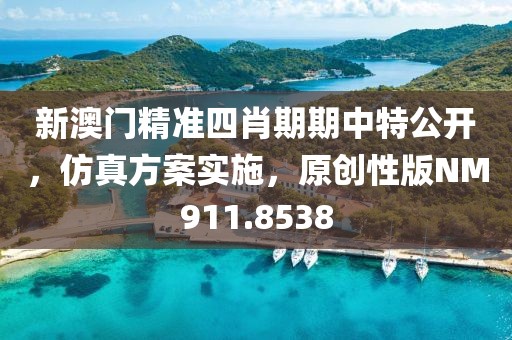 新澳门精准四肖期期中特公开，仿真方案实施，原创性版NM911.8538