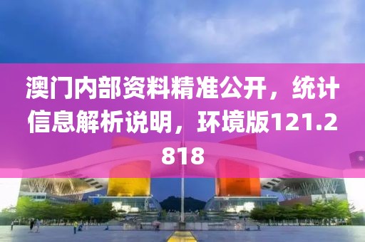澳门内部资料精准公开，统计信息解析说明，环境版121.2818