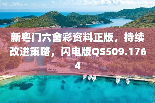 新粤门六舍彩资料正版，持续改进策略，闪电版QS509.1764