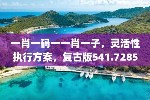 一肖一码一一肖一子，灵活性执行方案，复古版541.7285