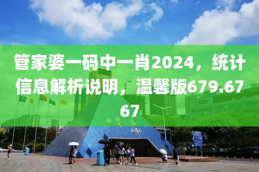 管家婆一码中一肖2024，统计信息解析说明，温馨版679.6767