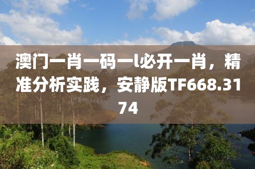 澳门一肖一码一l必开一肖，精准分析实践，安静版TF668.3174