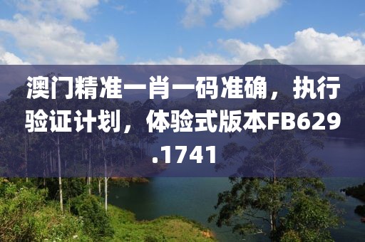 澳门精准一肖一码准确，执行验证计划，体验式版本FB629.1741