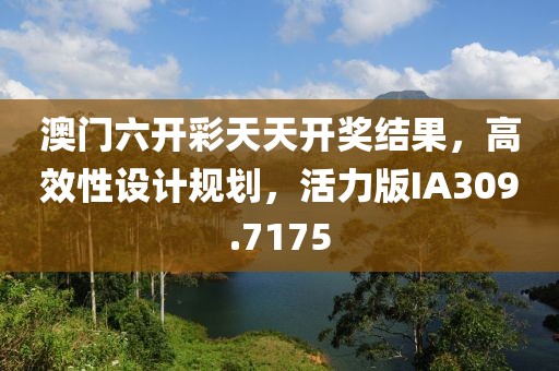 澳门六开彩天天开奖结果，高效性设计规划，活力版IA309.7175