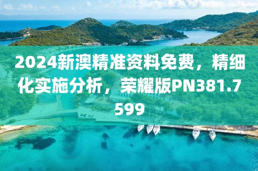 2024新澳精准资料免费，精细化实施分析，荣耀版PN381.7599