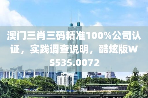 澳门三肖三码精准100%公司认证，实践调查说明，酷炫版WS535.0072
