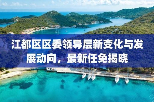 江都区区委领导层新变化与发展动向，最新任免揭晓