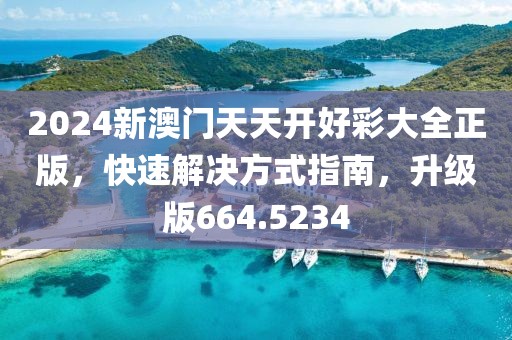 2024新澳门天天开好彩大全正版，快速解决方式指南，升级版664.5234