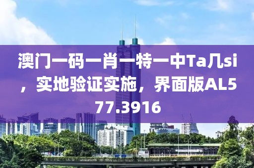 澳门一码一肖一特一中Ta几si，实地验证实施，界面版AL577.3916