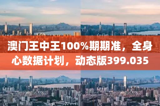 澳门王中王100%期期准，全身心数据计划，动态版399.035