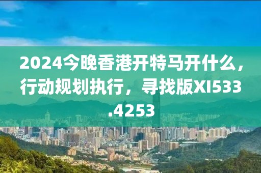 2024今晚香港开特马开什么，行动规划执行，寻找版XI533.4253