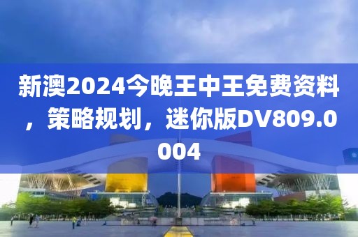 新澳2024今晚王中王免费资料，策略规划，迷你版DV809.0004