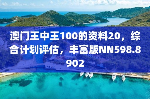 澳门王中王100的资料20，综合计划评估，丰富版NN598.8902