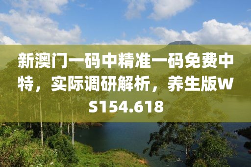 新澳门一码中精准一码免费中特，实际调研解析，养生版WS154.618