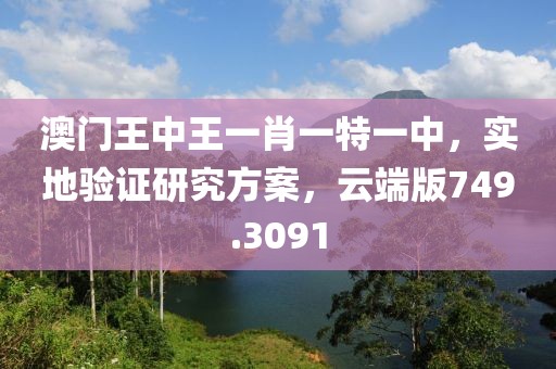 澳门王中王一肖一特一中，实地验证研究方案，云端版749.3091