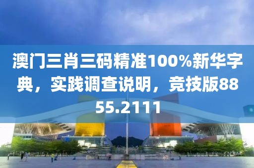 澳门三肖三码精准100%新华字典，实践调查说明，竞技版8855.2111