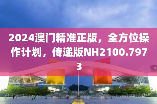 2024澳门精准正版，全方位操作计划，传递版NH2100.7973