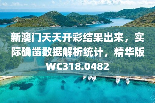 新澳门天天开彩结果出来，实际确凿数据解析统计，精华版WC318.0482