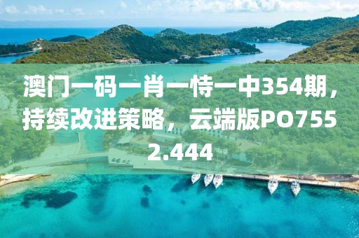 澳门一码一肖一恃一中354期，持续改进策略，云端版PO7552.444