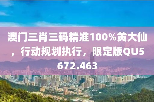 澳门三肖三码精准100%黄大仙，行动规划执行，限定版QU5672.463