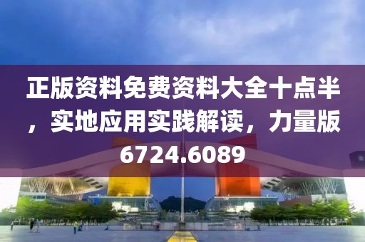 正版资料免费资料大全十点半，实地应用实践解读，力量版6724.6089