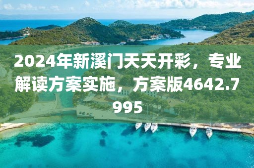 2024年新溪门天天开彩，专业解读方案实施，方案版4642.7995