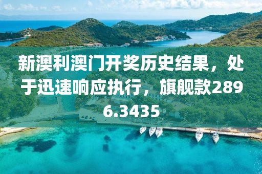 新澳利澳门开奖历史结果，处于迅速响应执行，旗舰款2896.3435