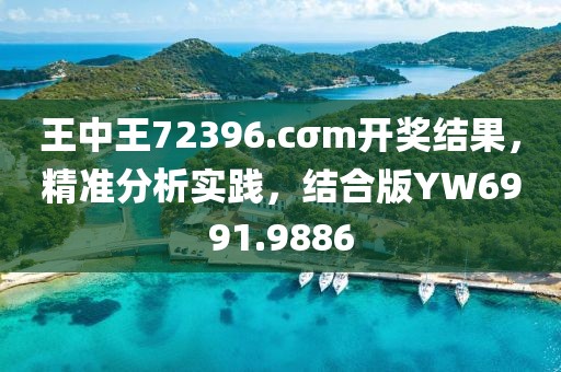 王中王72396.cσm开奖结果，精准分析实践，结合版YW6991.9886