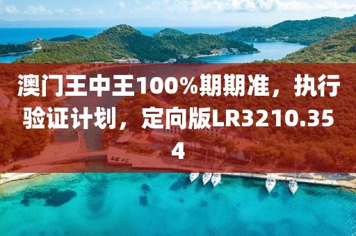 澳门王中王100%期期准，执行验证计划，定向版LR3210.354