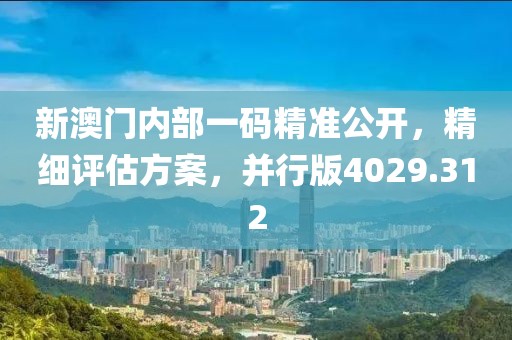 新澳门内部一码精准公开，精细评估方案，并行版4029.312
