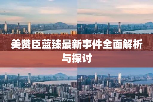 美赞臣蓝臻最新事件全面解析与探讨