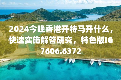 2024今晚香港开特马开什么，快速实施解答研究，特色版IG7606.6372