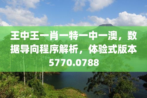 王中王一肖一特一中一澳，数据导向程序解析，体验式版本5770.0788