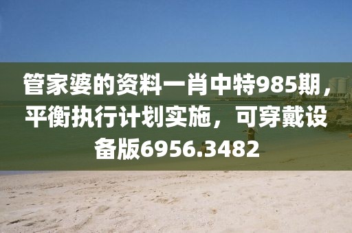 管家婆的资料一肖中特985期，平衡执行计划实施，可穿戴设备版6956.3482