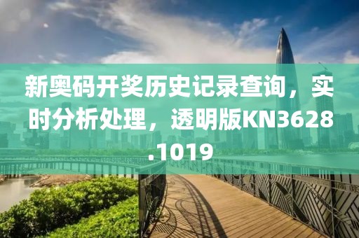 新奥码开奖历史记录查询，实时分析处理，透明版KN3628.1019