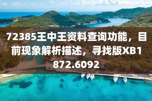 72385王中王资料查询功能，目前现象解析描述，寻找版XB1872.6092