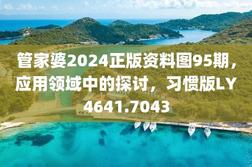 管家婆2024正版资料图95期，应用领域中的探讨，习惯版LY4641.7043