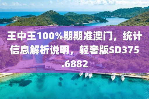 王中王100%期期准澳门，统计信息解析说明，轻奢版SD375.6882