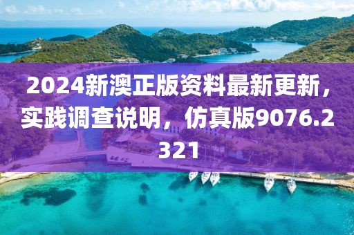 2024新澳正版资料最新更新，实践调查说明，仿真版9076.2321