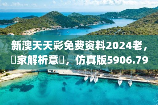新澳天天彩免费资料2024老，專家解析意見，仿真版5906.79