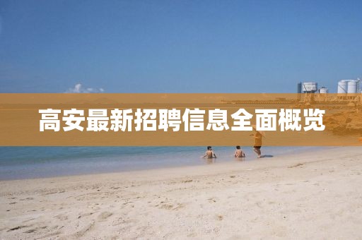 高安最新招聘信息全面概览