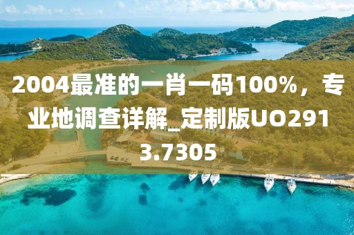 2004最准的一肖一码100%，专业地调查详解_定制版UO2913.7305