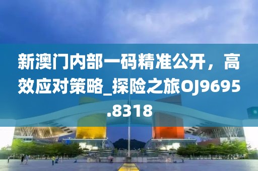 新澳门内部一码精准公开，高效应对策略_探险之旅OJ9695.8318