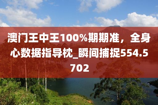 澳门王中王100%期期准，全身心数据指导枕_瞬间捕捉554.5702
