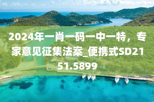 2024年一肖一码一中一特，专家意见征集法案_便携式SD2151.5899