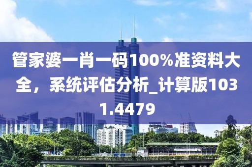管家婆一肖一码100%准资料大全，系统评估分析_计算版1031.4479