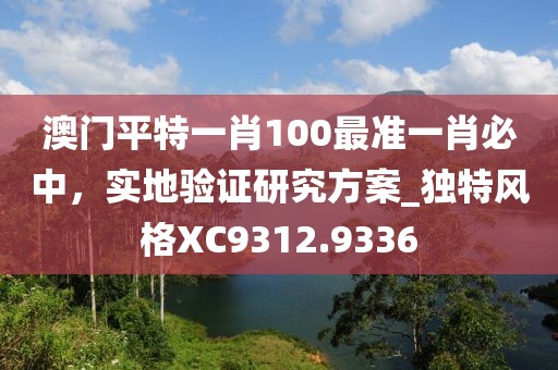 澳门平特一肖100最准一肖必中，实地验证研究方案_独特风格XC9312.9336